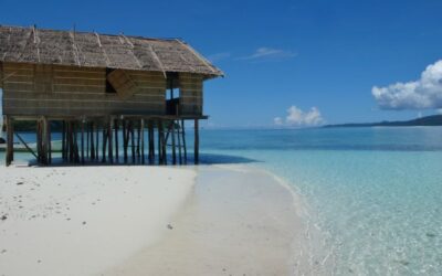 What Can I see & Do In Raja Ampat ?